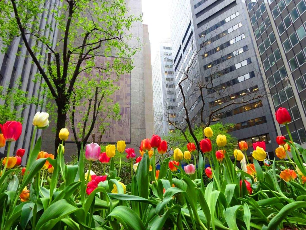 Градски турове (големи метрополии като Ню Йорк, Лас Вегас)